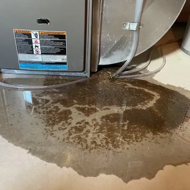 Appliance Leak Cleanup in Benton, MO